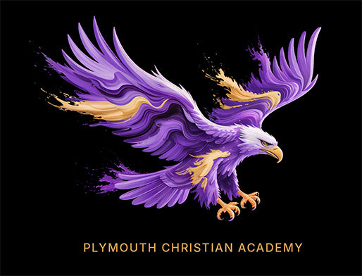 "Paint Swirl PCA Eagle" School Spirit Hoodie